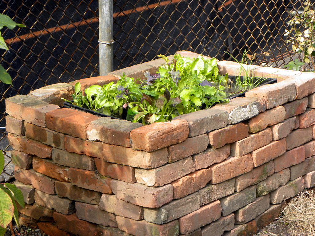 dry bricked stacked into a rectangular garden bedwith small plants growing